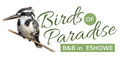 Birds of Paradise B&B in Eshowe